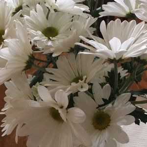 Meet your Posher, Ann